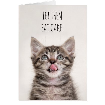 &quot;Let them eat cake&quot; Kitten Birthday card