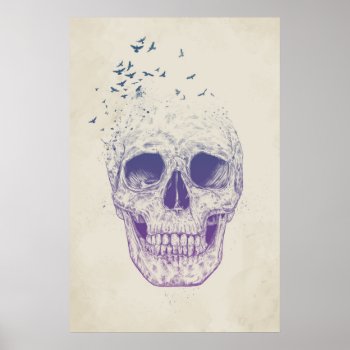 Let Them Fly Poster by bsolti at Zazzle