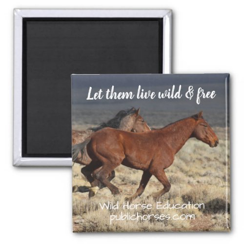 Let Them Live Wild and Free Magnet