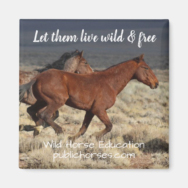Let Them Live Wild and Free Magnet (Front)