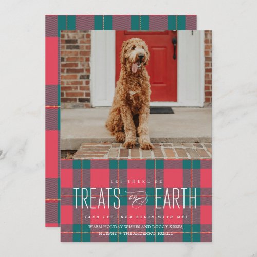 Let There Be Treats on Earth Pet Photo Holiday  Invitation