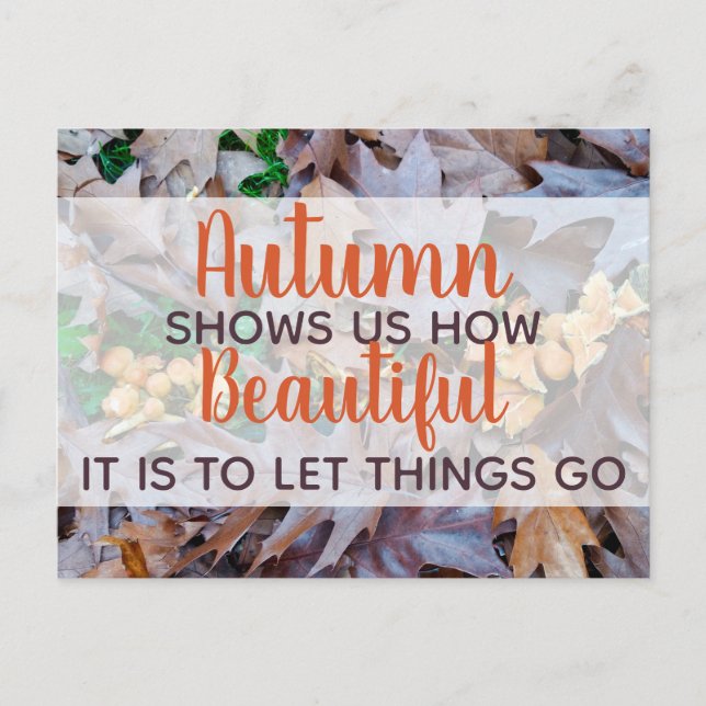 let things go Autumn fallen leaves brown foliage Postcard (Front)