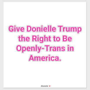 Let Trump Be Trans Rights Hankamer Artjunkhaus Yay Sticker