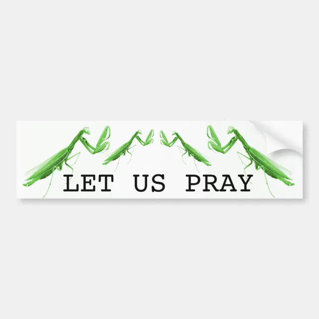 Let us Pray Praying Mantis Sticker | Zazzle