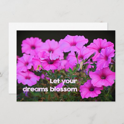 Let Your Dreams Blossom (Front/Back)