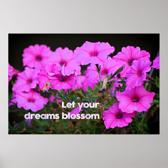 Let Your Dreams Blossom Poster (Front)