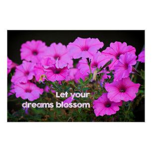 Let Your Dreams Blossom Poster