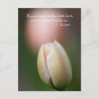 Let your loins be girded about, and your lights bu postcard