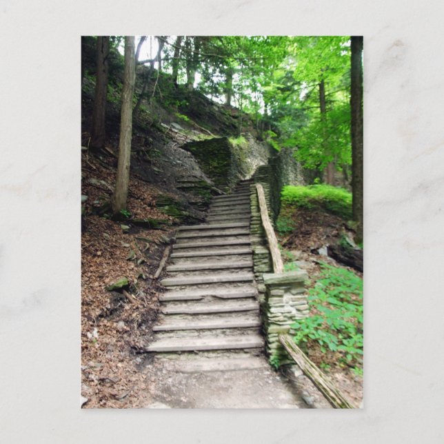 Letchworth State Park Stone Stairs To Waterfalls Postcard (Front)