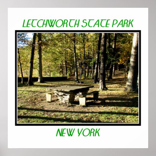 Letchworth State Park _ Tea Table Rock Poster