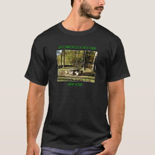Letchworth State Park - Tea Table Rock T-Shirt