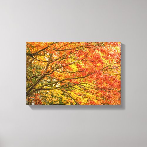 Letchworth Tree Branches Orange Nature Canvas Prin