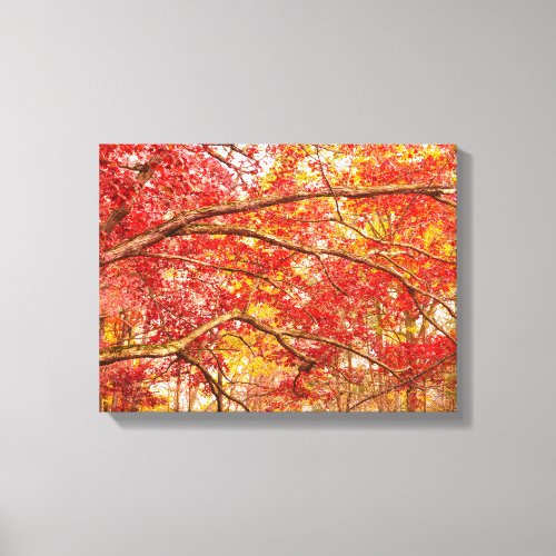 Letchworth Tree Branches Orange Nature Canvas Print