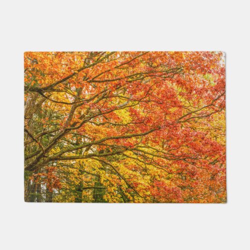 Letchworth Tree Branches Orange Nature Doormat