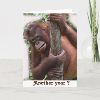 Let's Celebrate Another Birthday Card by Rebecca_Reeder at Zazzle