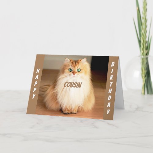 LETS CELEBRATE YOU COUSIN WIDE EYED CAT SAYS CARD