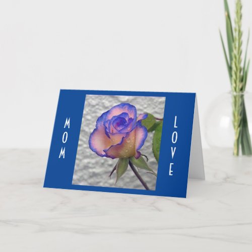 LETS CELEBRATE YOU MOTHERS BIRTHDAY CARD