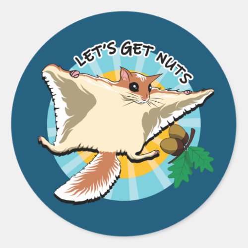 Lets Get Nuts _ Flying Squirrel Classic Round Sticker