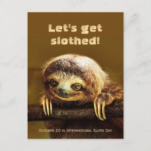 Let's get Slothed - Oct. 20 is Int. Sloth Day Postcard