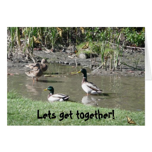 Lets get together! card | Zazzle