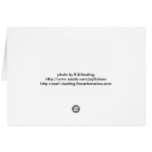 Let's get together cards (Back Horizontal)