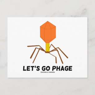 Let's Go Phage Virus Bacteriophage Postcard