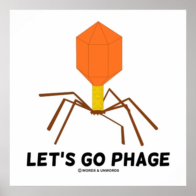 Let's Go Phage Virus Bacteriophage Poster (Front)