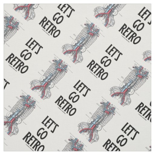 Let's Go Retro Retroperitoneal Vasculature Fabric