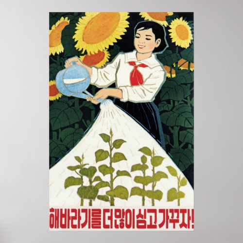 Lets Grow More Sunflowers North Korea Agriculture Poster