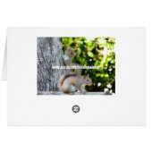 Let's hang out! Squirrels Cards (Back Horizontal)
