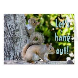 Let's hang out! Squirrels Cards
