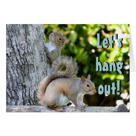 Let's hang out! Squirrels Cards (Front Horizontal)