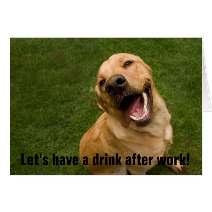 Lets have a drink golden lab card