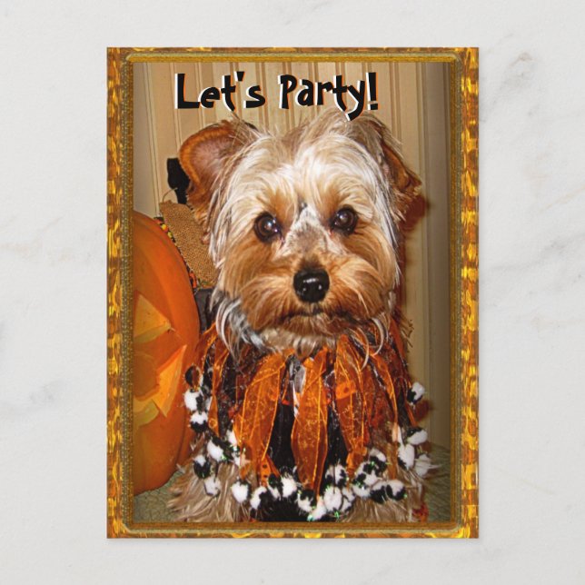 Let's Party for Halloween Yorkie Invitation Postcard (Front)