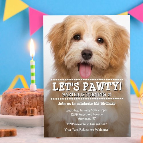 Lets Pawty 2_Photo Pet Birthday Invitation