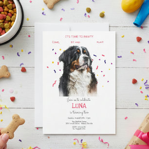 Let's pawty, bernese dog's birthday party invitation