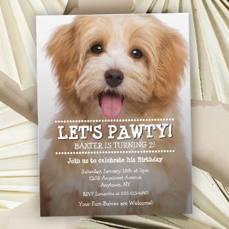Let's Pawty Pet Photo Birthday Party Postcard
