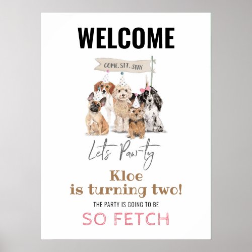 Lets Pawty Puppy Dog Girls Birthday Welcome Sign