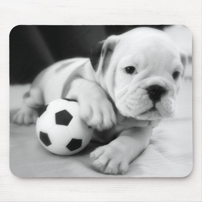 "Let's Play Soccer" English Bulldog Puppy Mousepads