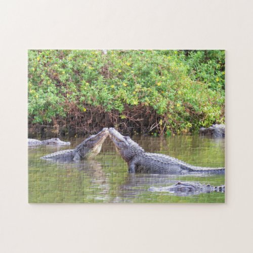 Lets Rumble _ Spring with the Gators _ Alligator Jigsaw Puzzle