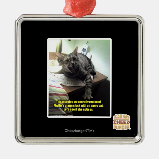 Let's see if she notices. metal ornament (Front)