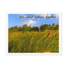 Let's Spend Autumn Together Wild Cattails Postcard