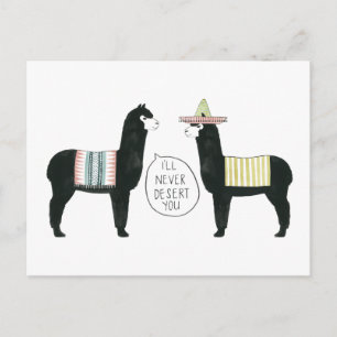 Let's Taco About It   I'll Never Desert You Postcard