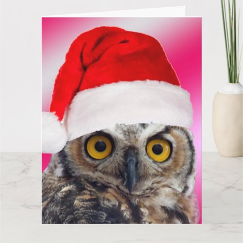 Lets Thanks Great Horned Owl Reluctant Santa Thank You Card