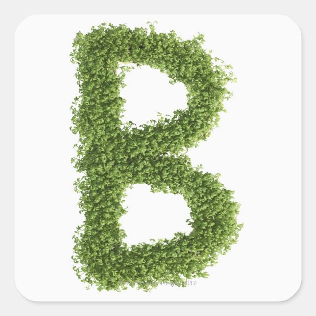 Letter 'B' in cress on white background, Square Sticker (Front)