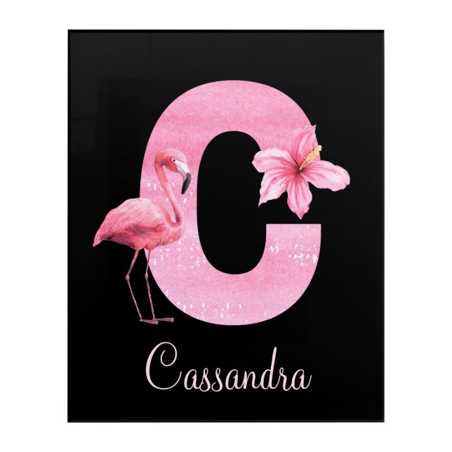 Letter C Flamingo Acrylic Art (Front)