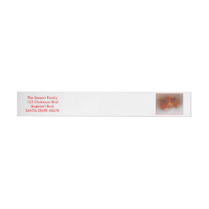 Letter from Santa Christmas Wrap Around Address Label