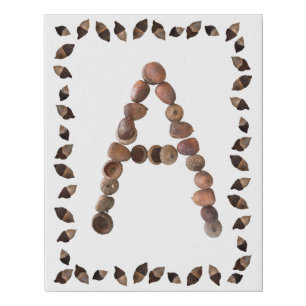 Letter Monogram A for Acorns   Botanical Alphabet  Faux Canvas Print