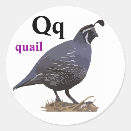 Letter Q quail Stickers