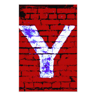 Letter Y Alphabet Photography in 3 Colors Photo Print